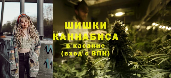 стафф Зеленокумск