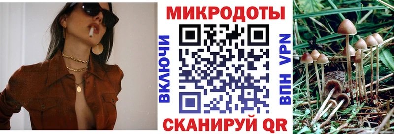 shop формула купить наркотики сайты Камышлов Галлюциногенные грибы GOLDEN TEACHER