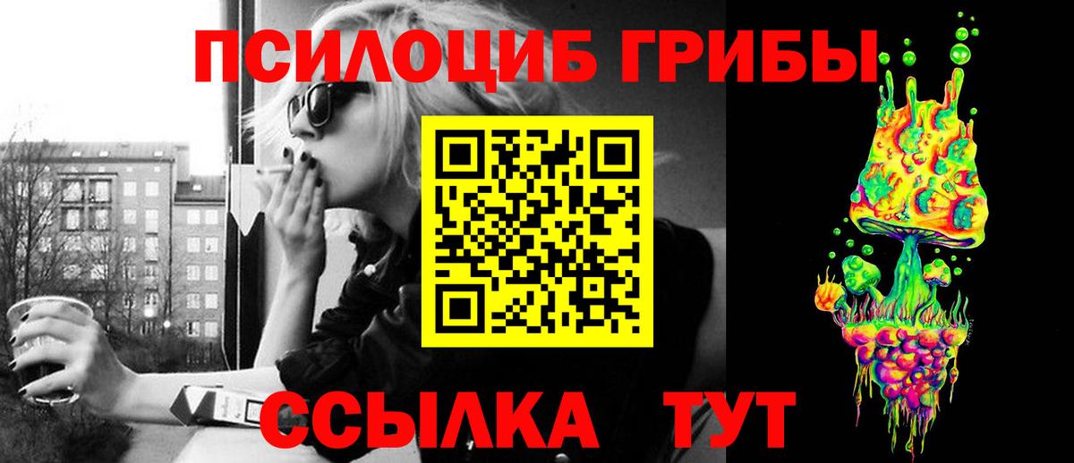 Камышлов  Псилоцибиновые грибы Psilocybine cubensis  Галлюциногенные грибы прущие грибы  Вход с VPN 
